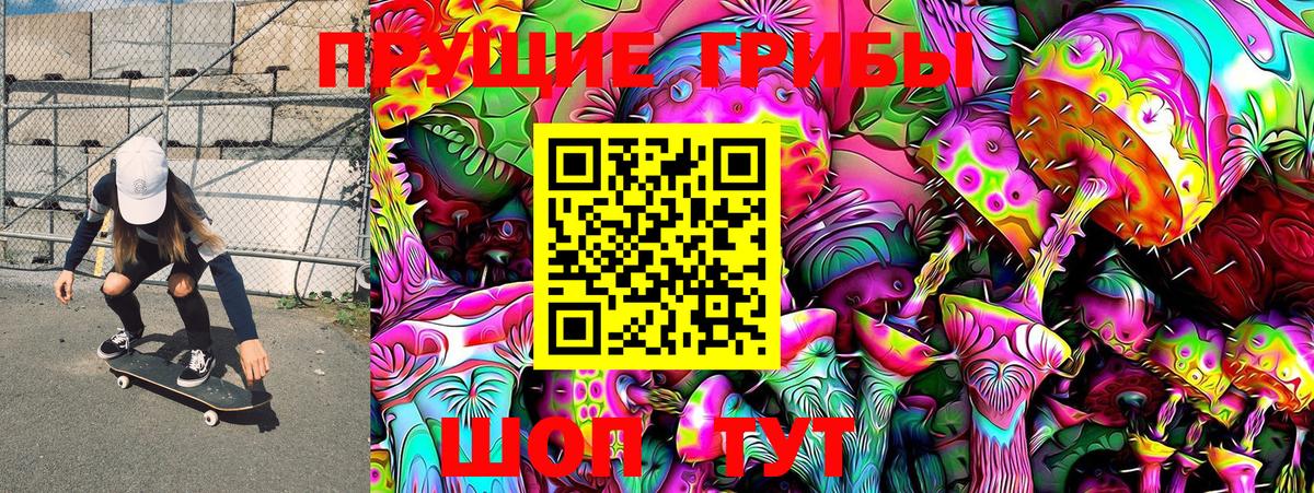 Вологда  Псилоцибиновые грибы GOLDEN TEACHER  Вход с VPN 
