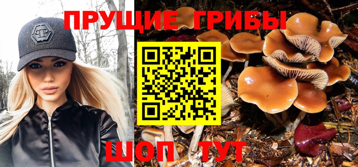 Галлюциногенные грибы ЛСД Вологда